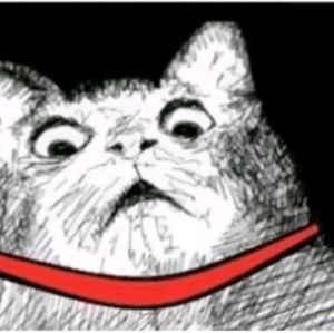 Meet your Posher, Cassandra